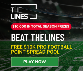 TheLines-10000-contest-banner-334x287-1.png